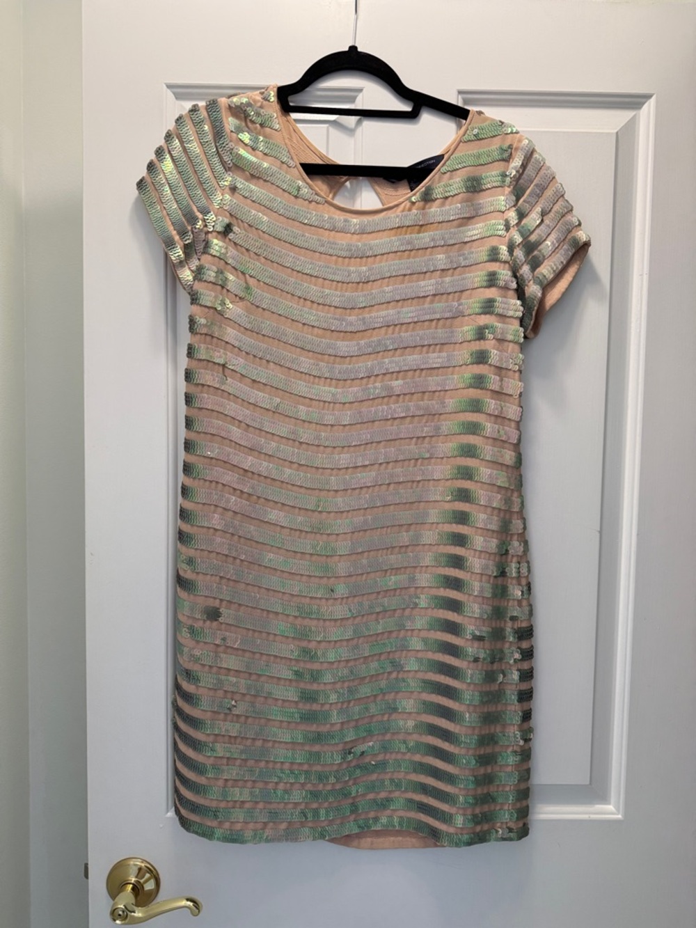 Short Sleeve Sequin Sheath Dress in Blush